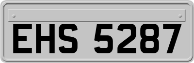 EHS5287