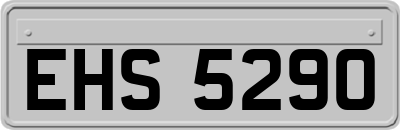 EHS5290