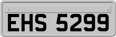 EHS5299