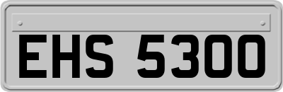 EHS5300