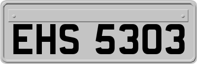 EHS5303