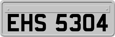 EHS5304