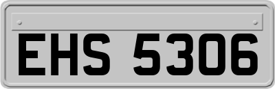 EHS5306