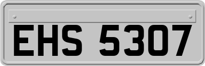 EHS5307