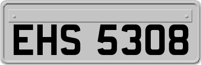 EHS5308