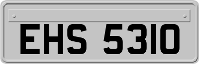 EHS5310