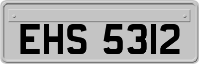 EHS5312