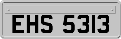 EHS5313