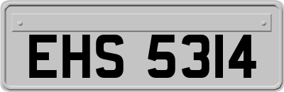 EHS5314