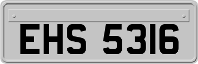 EHS5316