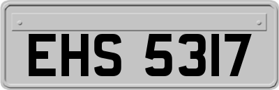 EHS5317
