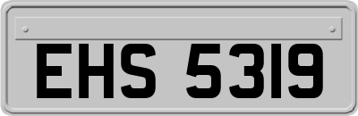 EHS5319