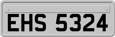 EHS5324