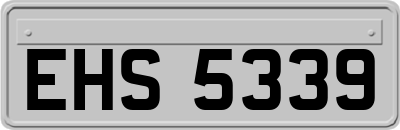 EHS5339
