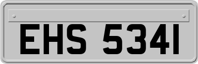 EHS5341