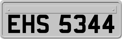 EHS5344