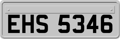 EHS5346