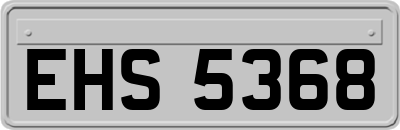 EHS5368