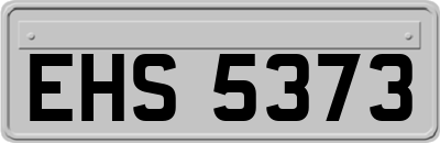 EHS5373