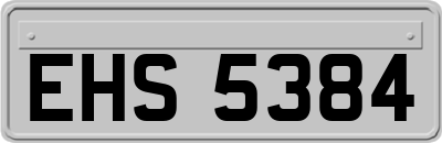 EHS5384