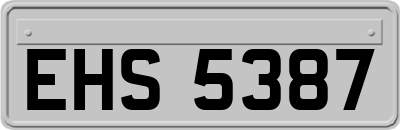 EHS5387