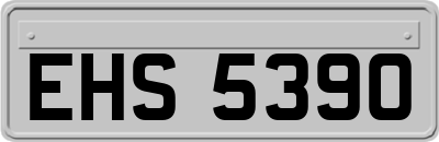 EHS5390