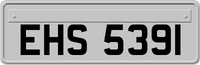 EHS5391