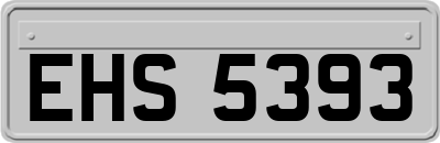 EHS5393