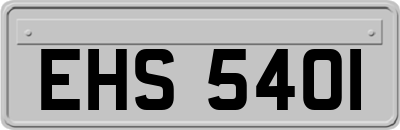 EHS5401