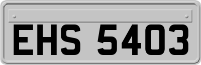 EHS5403