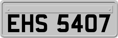 EHS5407