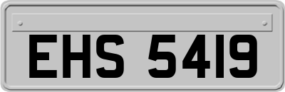 EHS5419