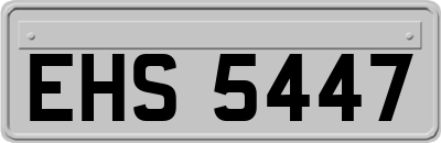 EHS5447