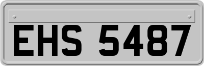 EHS5487