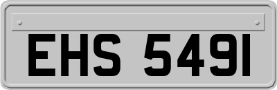 EHS5491