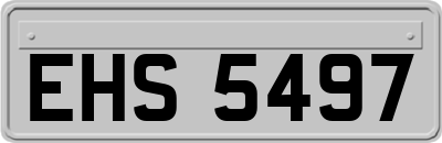 EHS5497