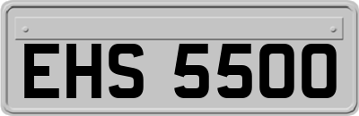 EHS5500