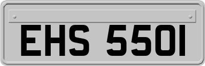 EHS5501