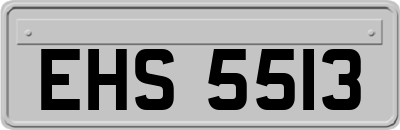 EHS5513