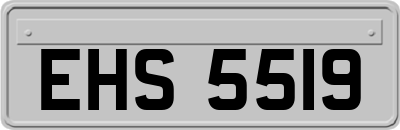 EHS5519