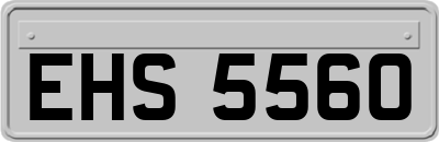 EHS5560