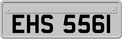 EHS5561