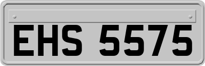 EHS5575