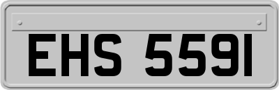 EHS5591
