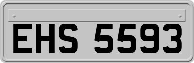 EHS5593