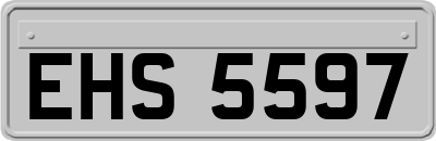 EHS5597