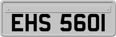 EHS5601
