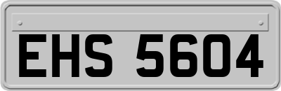 EHS5604