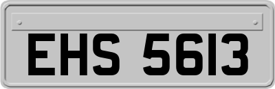 EHS5613