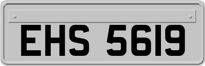 EHS5619
